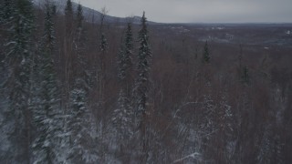 4K aerial stock footage snow covered, wooded slopes in the Chugach Mountains, Alaska Aerial Stock Footage | AK0001_1622