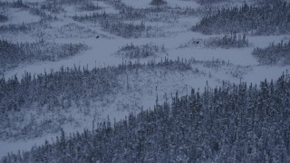 AK0001_1667 - 4K aerial stock footage woods and snow in Point MacKenzie revealing two moose at twilight, Alaska