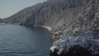 AK0001_1841 - 4K aerial stock footage flying along wooded, snowy, hilly shore of Port Wells, Alaska