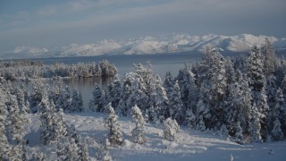 AK0001_1882 - 4K aerial stock footage fly over snowy, wooded shore, reveal islands, Hummer Bay, Port Wells, Alaska