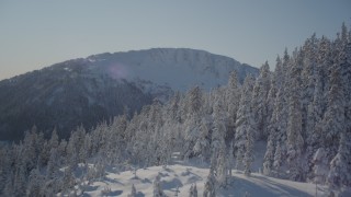 4K aerial stock footage flying over snow covered forested slope, Chugach Mountains, Alaska Aerial Stock Footage | AK0001_1886