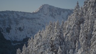 4K aerial stock footage rounding a snowy, wooded slope, Chugach Mountains, Alaska Aerial Stock Footage | AK0001_1887