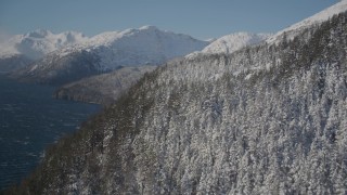 4K aerial stock footage flying along snow covered forested slopes along shore of Passage Canal, Alaska Aerial Stock Footage | AK0001_1902