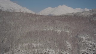 4K aerial stock footage flying over a snow covered wooded ridge, Chugach Mountains, Alaska Aerial Stock Footage | AK0001_1926