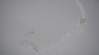 4K aerial stock footage mountain goats trekking in the snow, Chugach Mountains, Alaska Aerial Stock Footage | AK0001_1945