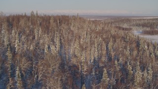 4K aerial stock footage flying over snowy wooded hill in Big Lake Area, Alaska Aerial Stock Footage | AK0001_2051