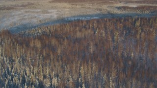 4K aerial stock footage fly over snowy forest, frozen ground in Knik-Fairview at sunset, Alaska Aerial Stock Footage | AK0001_2061