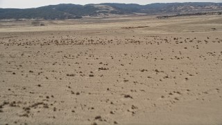 5K aerial stock footage of flying low over open desert in Antelope Valley, California Aerial Stock Footage | AX0005_099