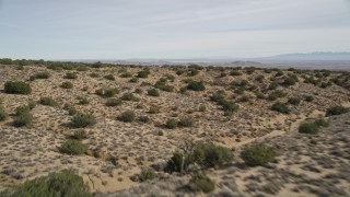 5K aerial stock footage fly low altitude over desert vegetation in Antelope Valley, California Aerial Stock Footage | AX0006_001