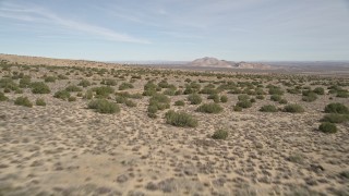 5K aerial stock footage of flying low over desert plants in Antelope Valley, California Aerial Stock Footage | AX0006_002E