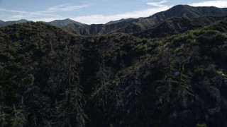 5K aerial stock footage approach and fly over tree-lined mountain ridge in the San Gabriel Mountains, California Aerial Stock Footage | AX0009_026E