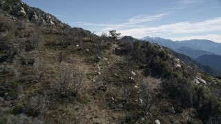 AX0009_030 - 5K aerial stock footage fly over a tree on a slope and approach rugged slopes in the San Gabriel Mountains, California