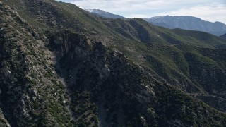 5K aerial stock footage approach dead trees on slopes in the San Gabriel Mountains, California Aerial Stock Footage | AX0009_043