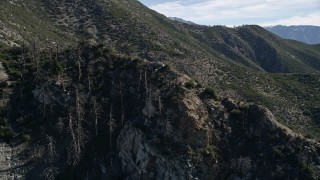 5K aerial stock footage video of dead trees on mountain slope in the San Gabriel Mountains, California Aerial Stock Footage | AX0009_044