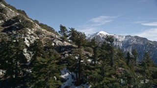 5K aerial stock footage fly over trees and snow patches in the San Gabriel Mountains, reveal distant mountains, California in Winter Aerial Stock Footage | AX0009_051E