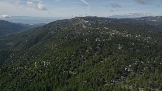 5K aerial stock footage approach a mountain with snow patches and thick forest in the San Bernardino Mountains, California Aerial Stock Footage | AX0009_136