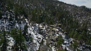 5K aerial stock footage fly over evergreen forest on snowy San Bernardino Mountains slopes, California Aerial Stock Footage | AX0010_026E