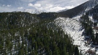 AX0010_059 - 5K aerial stock footage fly over forest and snowy slopes in the San Bernardino Mountains, California