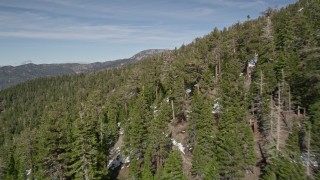 5K aerial stock footage fly over slopes with evergreen trees and patches of snow in the San Bernardino Mountains, California Aerial Stock Footage | AX0010_060