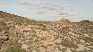 5K aerial stock footage of flying over Joshua Trees, Joshua Tree National Park, California Aerial Stock Footage | AX0011_025E