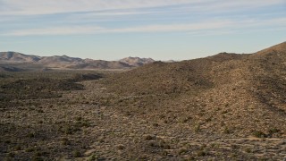 5K aerial stock footage fly by Joshua Trees, Joshua Tree National Park, California Aerial Stock Footage | AX0011_027