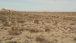 5K aerial stock footage fly low over Josua Trees toward rock formations, Joshua Tree National Park, California Aerial Stock Footage | AX0011_037