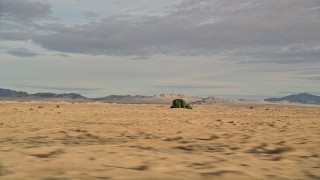 5K aerial stock footage fly by a tree in the desert, Mojave Desert, California Aerial Stock Footage | AX0012_005