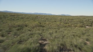 5K aerial stock footage fly low over forests, Mountain Center, California Aerial Stock Footage | AX0014_018E