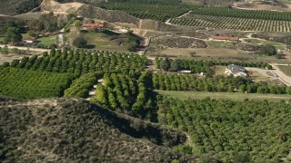 5K aerial stock footage of flying over farmland and orchards, Temecula, California Aerial Stock Footage | AX0014_034