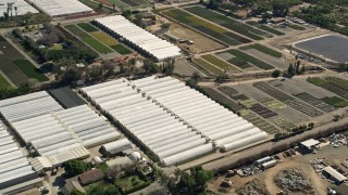 5K aerial stock footage of farmland and greenhouses, Fallbrook, California Aerial Stock Footage | AX0015_010