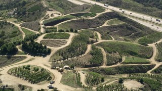 5K aerial stock footage fly by farmland on hills, Fallbrook, California Aerial Stock Footage | AX0015_017