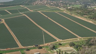 5K aerial stock footage approach farmland, Fallbrook, California Aerial Stock Footage | AX0015_030