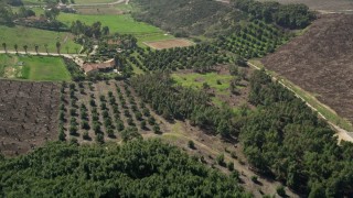 5K aerial stock footage fly over trees and farmland, Fallbrook, California Aerial Stock Footage | AX0015_034