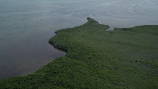 AX0025_013 - 5K aerial stock footage of flying over Mangrove Preserve, Homestead, Florida