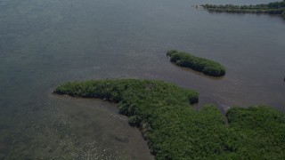 5K aerial stock footage of flying over Mangrove Preserve on the coast, Homestead, Florida Aerial Stock Footage | AX0025_015