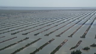 5K aerial stock footage of flying by Turkey Point Power Plant cooling canal system, Homestead, Florida Aerial Stock Footage | AX0025_022