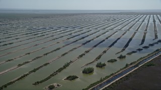 AX0025_023 - 5K aerial stock footage of passing the Turkey Point Power Plant cooling canal system, Homestead, Florida