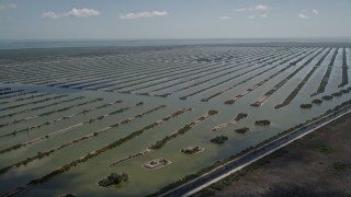 5K aerial stock footage of passing by the Turkey Point Power Plant cooling canal system, Homestead, Florida Aerial Stock Footage | AX0025_024E