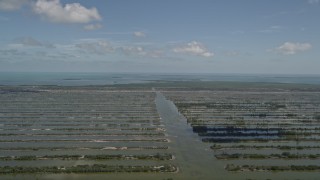 5K aerial stock footage of Turkey Point Power Plant cooling canal system, Homestead, Florida Aerial Stock Footage | AX0025_028