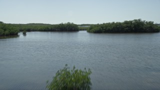 AX0025_036E - 5K aerial stock footage of flying low over coastal mangroves, Model Lands Basin, Homestead, Florida