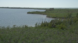 AX0025_041E - 5K aerial stock footage of flying low over coastal mangroves, Model Lands Basin, Homestead, Florida