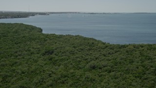 5K aerial stock footage fly over mangroves, Buttonwood Sound shore, sailboats, Key Largo, Florida Aerial Stock Footage | AX0025_065