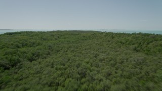 AX0025_076E - 5K aerial stock footage of flying over water, tilt up to reveal and fly over mangroves, Key Largo, Florida