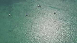 5K aerial stock footage of a bird's eye view of sailboats and catamarans, Islamorada, Florida Aerial Stock Footage | AX0025_113