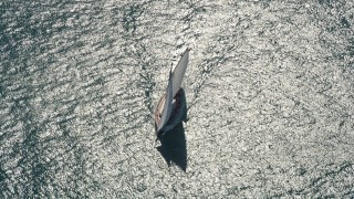 5K aerial stock footage of a bird's eye view of a sailboat near Key West, Florida Aerial Stock Footage | AX0026_076