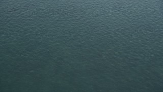 AX0028_008 - 5K aerial stock footage of a shark swimming in the ocean near Marathon, Florida