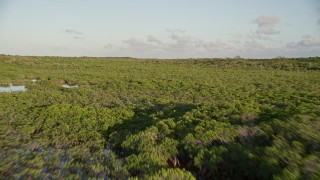 5K aerial stock footage of flying low over and island with mangroves, Long Key, Florida, sunset Aerial Stock Footage | AX0028_013