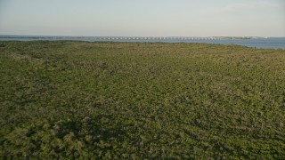 5K aerial stock footage of flying over mangroves, approaching Overseas Highway bridge, Long Key, Florida, sunset Aerial Stock Footage | AX0028_016