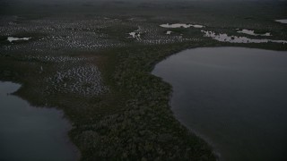 Southern Glades, FL Aerial Stock Footage