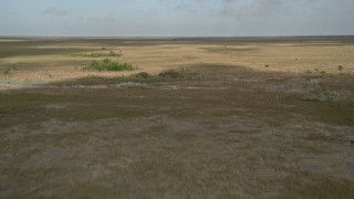 5K aerial stock footage of flying over marshland, Florida Everglades, Florida Aerial Stock Footage | AX0030_003E